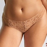 Panache Allure Thong in Honey