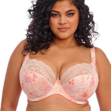 Elomi Lucie Stretch Plunge Bra in Cosmos