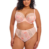 Elomi Lucie High Leg Brief in Cosmos