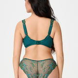 Lingadore Lace Brief in Pine Green