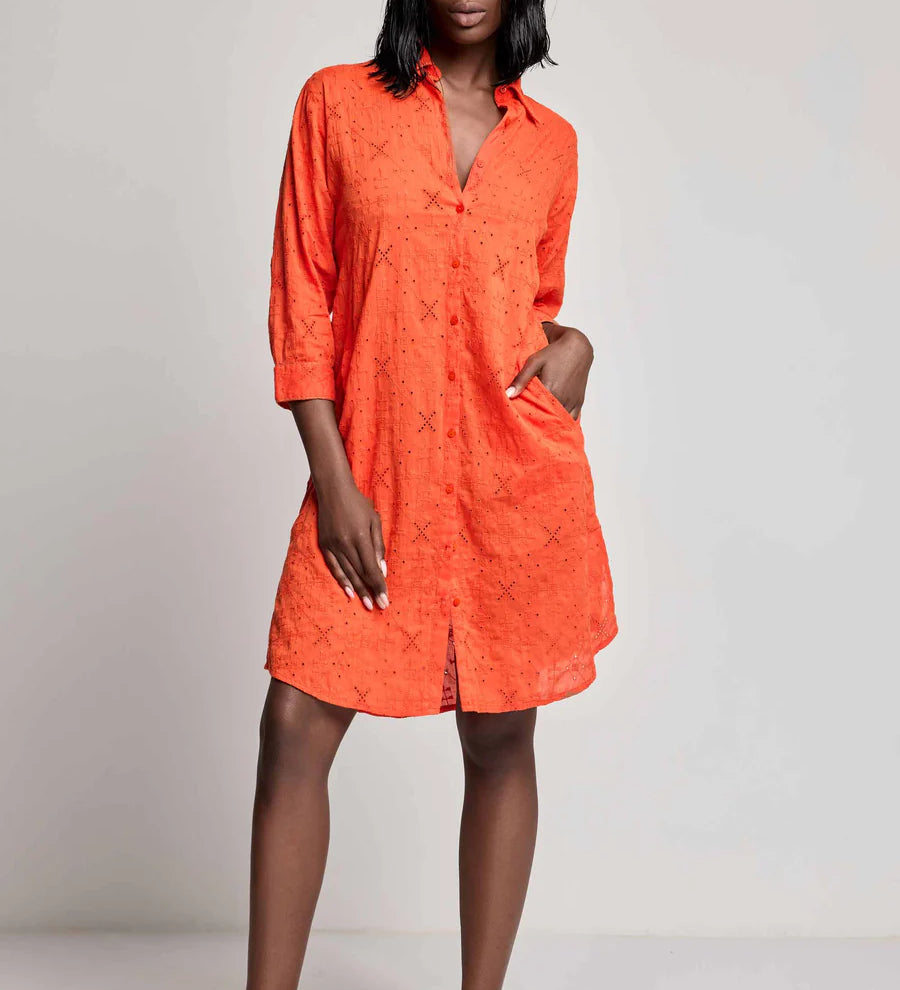 David Doris Lace Shirt Dress