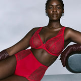 PrimaDonna Solisse Plunge Bra
